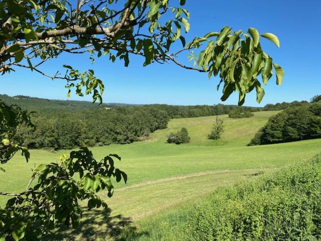 Domaine De Cazal - Gite 2 Pers Avec Piscine Au Coeur De 26 Hectares De Nature Preservee Saint-Cyprien  Exterior photo